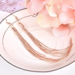 2/$15 Rose Gold Tassel Drop Earrings
